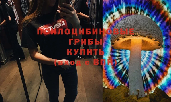 ГАЛЛЮЦИНОГЕННЫЕ ГРИБЫ Алзамай