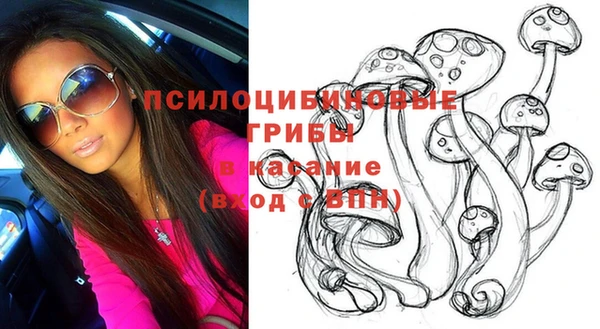 ГАЛЛЮЦИНОГЕННЫЕ ГРИБЫ Алзамай