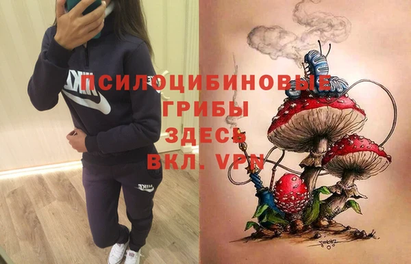 сатива Алексин
