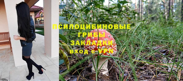 сатива Алексин
