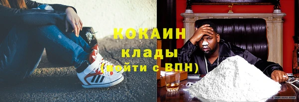 ГАЛЛЮЦИНОГЕННЫЕ ГРИБЫ Алзамай