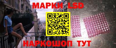 индика Беслан