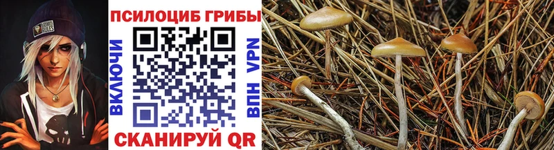 KRAKEN ONION  закладки  Дедовск  Галлюциногенные грибы GOLDEN TEACHER 