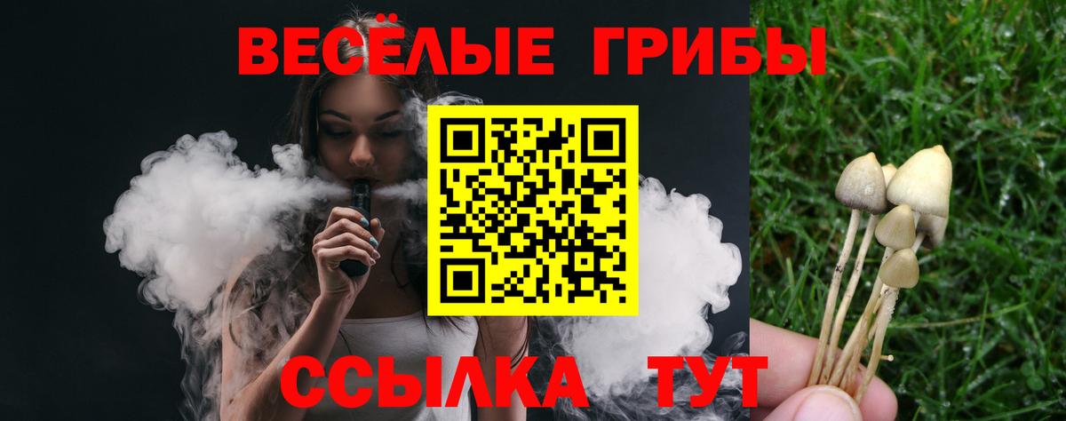 Псилоцибиновые грибы MAGIC MUSHROOMS  Галлюциногенные грибы мухоморы  Дедовск 